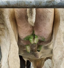 Vacuum Systems Bay of Plenty