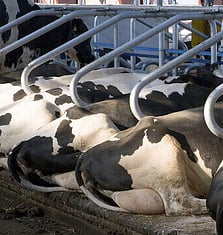 Vacuum Pumps Whakatane