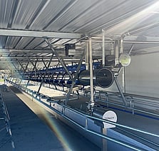 Milking Systems Bay of Plenty