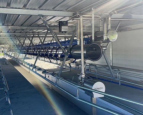 Milking Systems Bay of Plenty