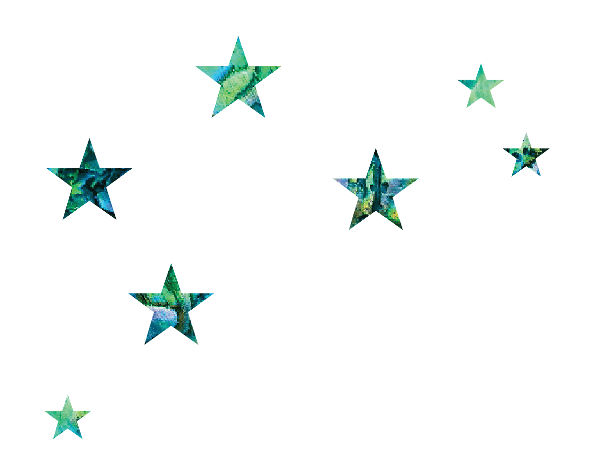 The Wish For Fish Charitable Trust logo