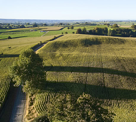 HSR Pegasus (115CRM)