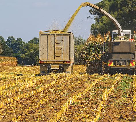 Collecting grass and maize silage in a field