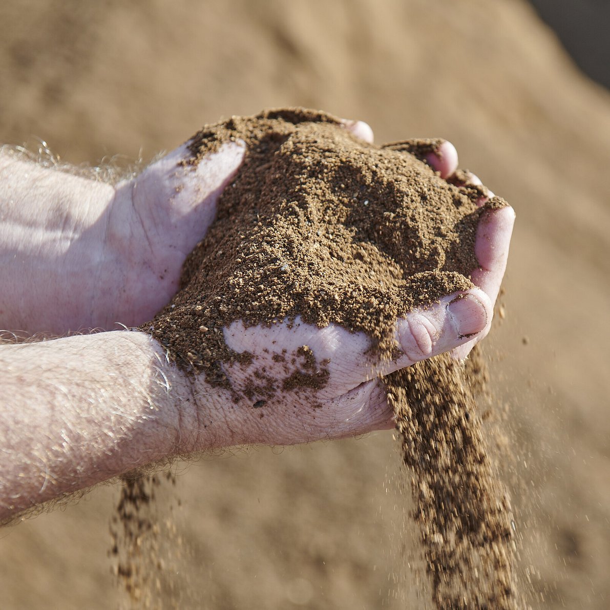 Nutrinza's blend ingredients