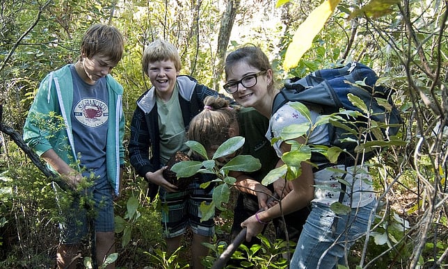 Four school children helping to plant trees in the Matarangi Bluff Scenic Reserve