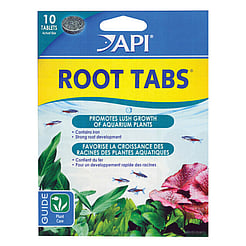 API Root Tabs - 10 Pack