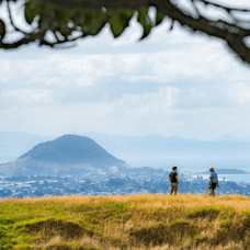 Tauranga regional place brand project session