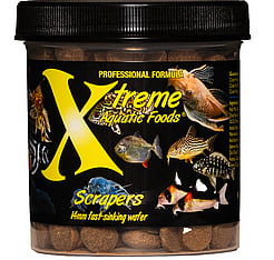 Xtreme Scrapers 14mm Wafer