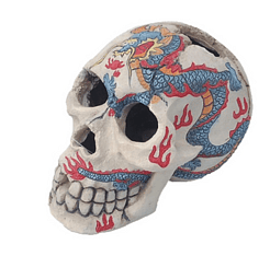 Painted Skull