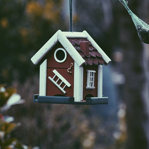 A house shaped birdhouse hanging from a tree branch.