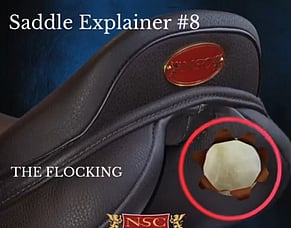 NSC Saddle Explainer #8 The Flocking