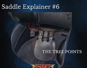 NSC Saddle Explainer #6 - Tree Points