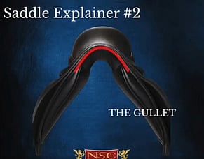 NSC Saddle explainer #2 - The Gullet