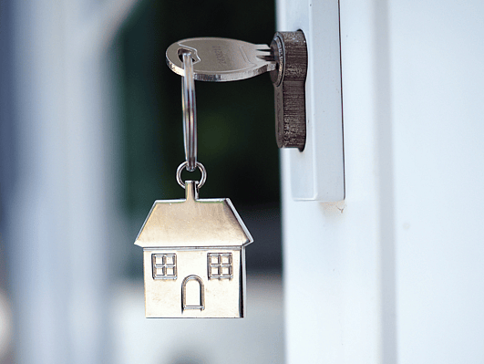 (Reference Statistics NZ)