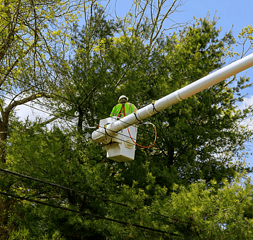 Minimise the chance of branches contacting overhead lines and creating hazards.