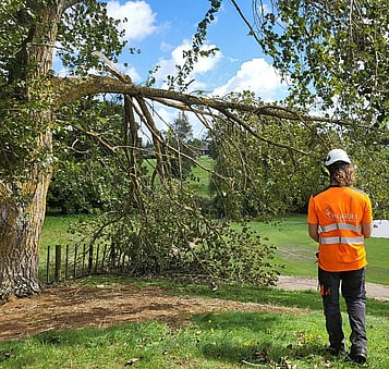 Help prevent outages, fire risks, and damage during strong winds or storms.