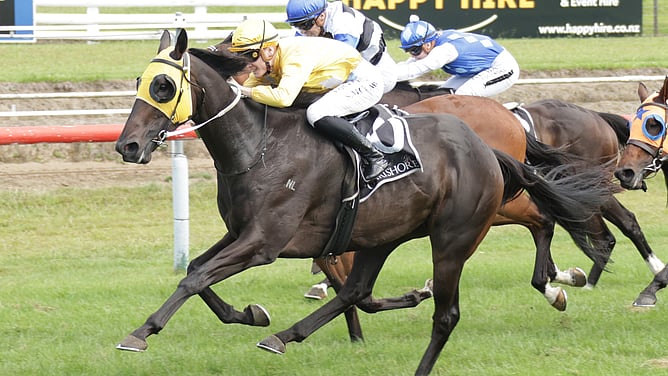Following his win in the Gr.2 Japan Trophy, Omega Boy will step up in distance in the Gr.2 Awapuni Gold Cup at Trentham on Saturday week.  - Photo: Kenton Wright (Race Images)