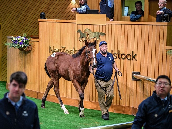 Lot 13 was purchased by NSW's J.Carey for $190,000.  - Photo: supplied