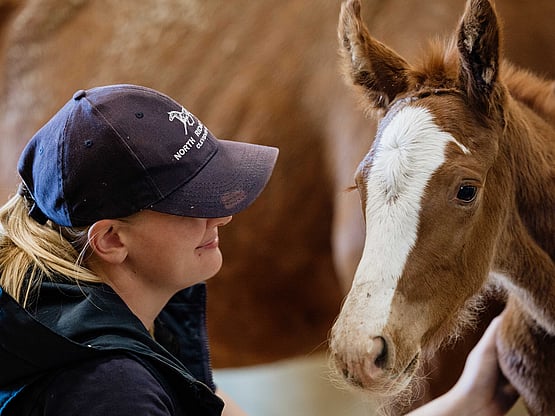 Kate from North Ridge Stud with NRS D'Amalfi 