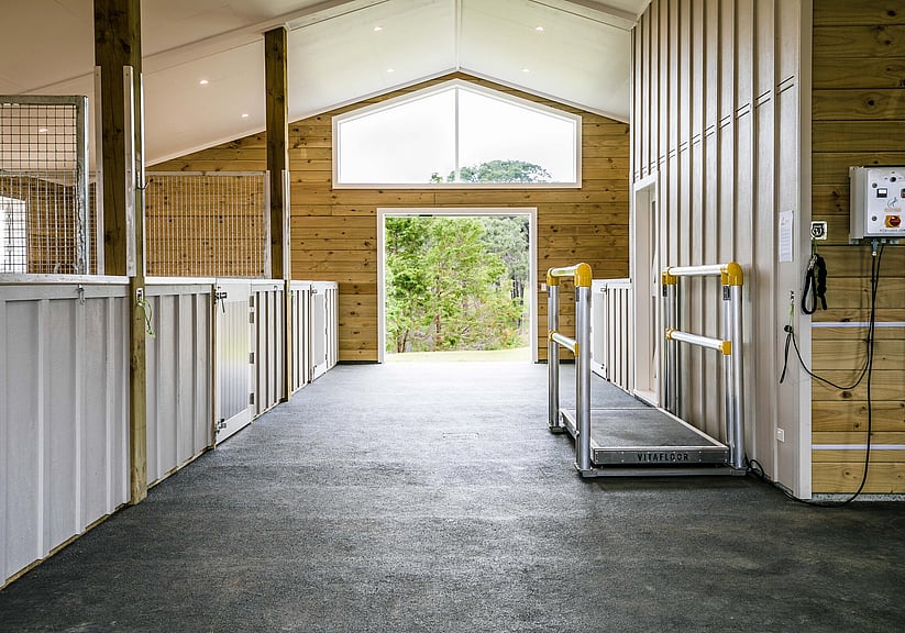 Dark kitchen with metallic pendants