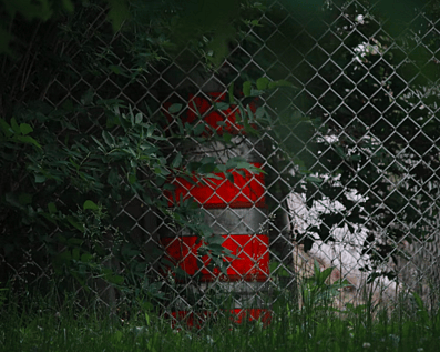 Wellington Temporary Fence Hire & Sales. Price & Service Guarantee. Commercial + Residential + Special Event Fencing Solutions. Swimming Pool + Dog run temporary or semi-permanent fencing.