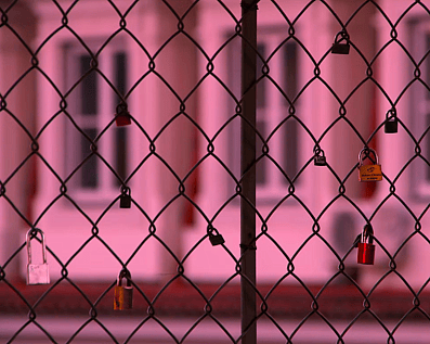 Wellington Temporary Fence Hire & Sales. Price & Service Guarantee. Commercial + Residential + Special Event Fencing Solutions. Swimming Pool + Dog run temporary or semi-permanent fencing.