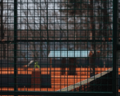 Wellington Temporary Fence Hire & Sales. Price & Service Guarantee. Commercial + Residential + Special Event Fencing Solutions. Swimming Pool + Dog run temporary or semi-permanent fencing.