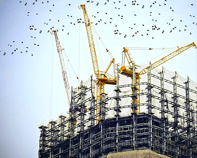 Government Project Temp Fence Wellington