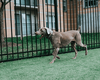 Wellington Temporary Fence Hire & Sales. Price & Service Guarantee.  Commercial + Residential + Special Event Fencing Solutions.  Swimming Pool + Dog run temporary or semi-permanent fencing.