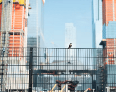 Wellington Temporary Fence Hire & Sales. Price & Service Guarantee.  Commercial + Residential + Special Event Fencing Solutions.  Swimming Pool + Dog run temporary or semi-permanent fencing.