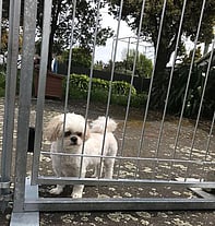 Wellington Temporary Fencing NZ Temp Fencing Wellington Temporary Fencing Hire Fence Portable Temporary Fence Construction Fencing Wellington Wairarapa Fencing Events Fencing Wellington Temp Fence Hire Dog Fence