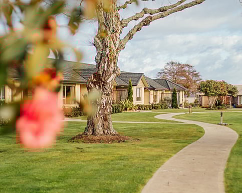 Levin's premium retirement village.