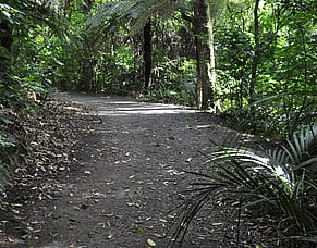 Being overwhelmed at work, and what to do about it