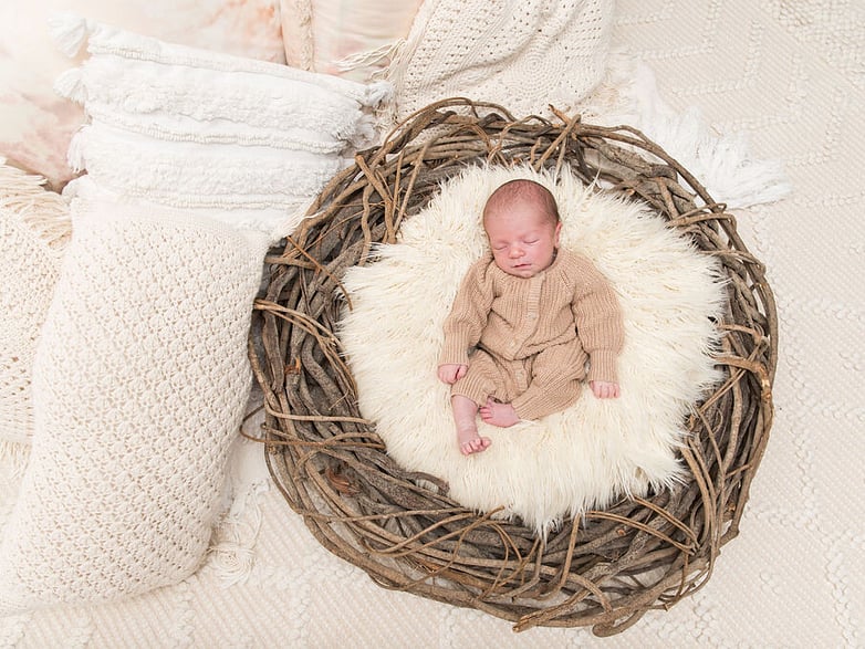 newborn baby in a nest in brown knitted suit