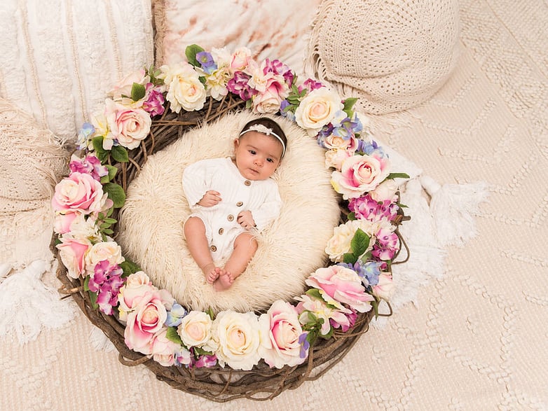 8 week baby girl looking at camera in a nest with flowers