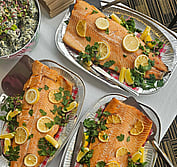 top venue caterer in kapiti coast for corporate events and weddings