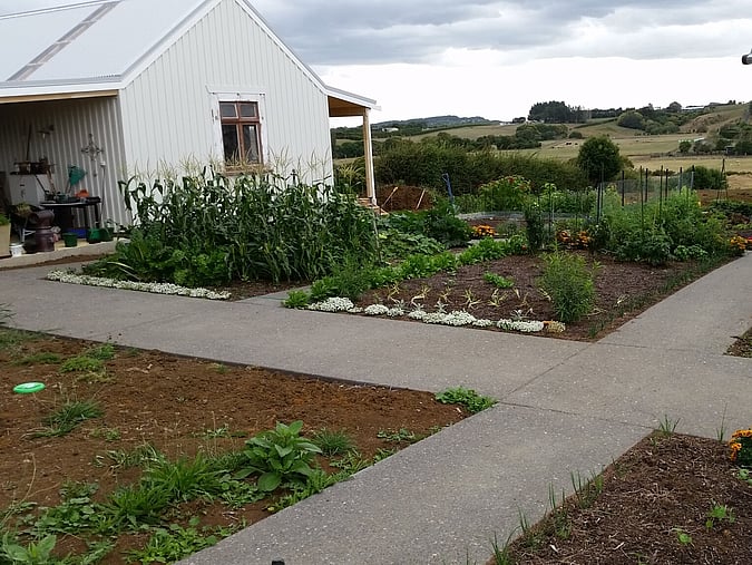 Buckville Home Renovation | NZ Renovation