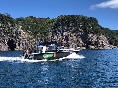 Dive Vessel Scuba Doo