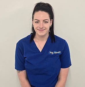 Brenda staff at Global Veterinary Services