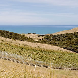 OUR VINEYARD - Our vines were planted in 2018, with a vision to create distinct wines that evoke the natural flavours of the local earth, wild climate and native wilderness. We selected the site because the terrain is steep, windswept and unforgiving; a perfect place to create unique wines.