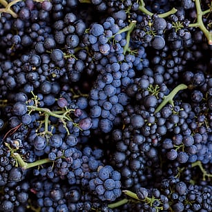 OUR WINERY - All our wine is handcrafted and bottled onsite from only hand harvested grapes grown on our property. We take steps to preserve the authenticity and diversity of our wines by minimising interventions and additions.