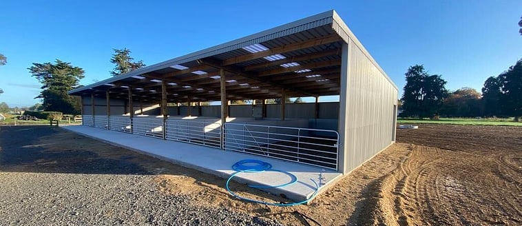 calf shed, farming building, pole shed, waikato shed, farm shed nz, build waikato, sheds nz