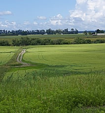 Ha's (incl Dairy Support) - 3556