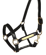 Halters & Lead Ropes