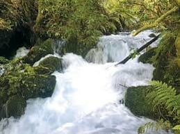 ACCOMMODATION OPTIONS