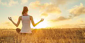 Hamilton Psychic, Hamilton Clairvoyant, Hamilton Medium, Cambridge Psychic, Cambridge Clairvoyant, Cambridge Medium,