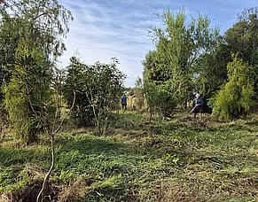 At the Rimu Grove March 19th, 2026