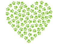 Dog pampering packages