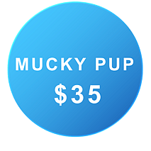 dog washing costs Auckland