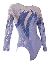Long sleeve Gymnastics Leotard with the sleeves in Silver and the sides in Royal and the leotard in Sky Blue